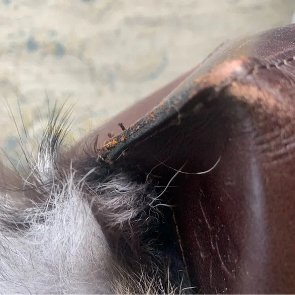 Patricia Nash BNWT Pieced European Fox Collection hand bag - Picture 11 of 16